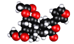 Molécula de la Salvinorina A